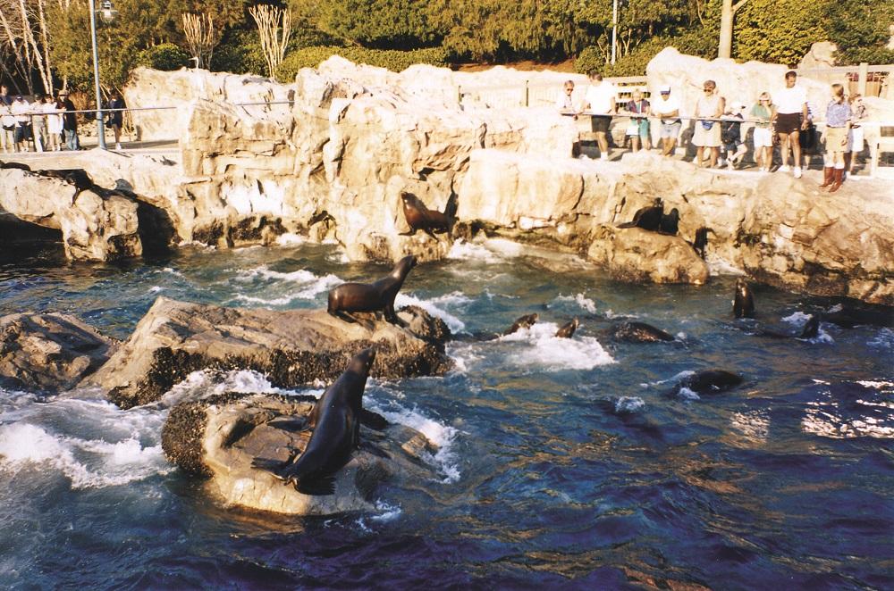 Waves for zoos and aqiariums