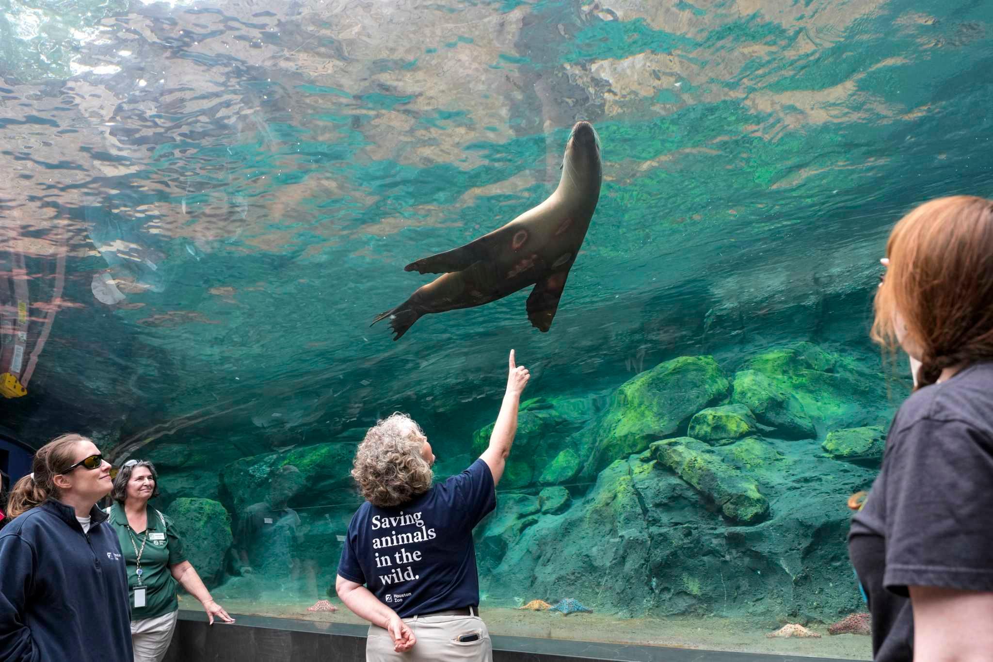 Enhancing Aquatic Exhibit Design
